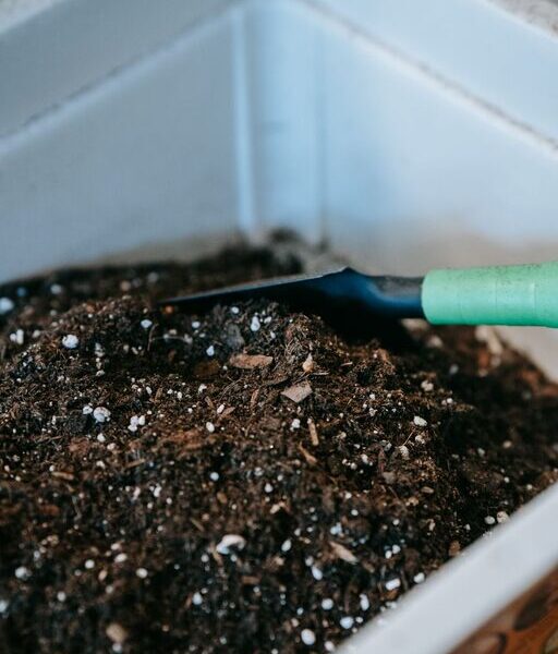 Beginner Tips for Composting at Home: Easy Steps to Get Started